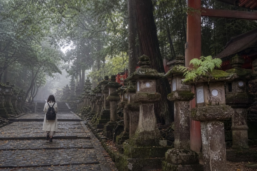 A quiet stone lantern path with morning mist between the trees at Nara Park