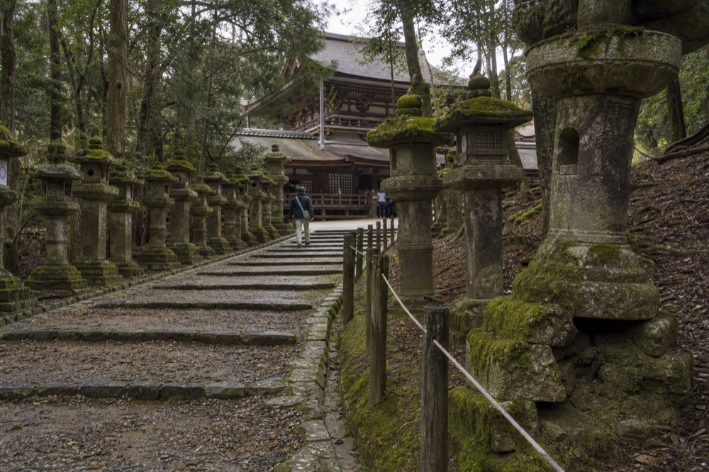 A stone path lined with moss-covered lanterns leading toward a wooden shrine building