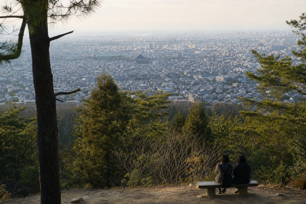 A panoramic view over Kyoto rooftops seen from a hillside clearing partway up Mount Inari