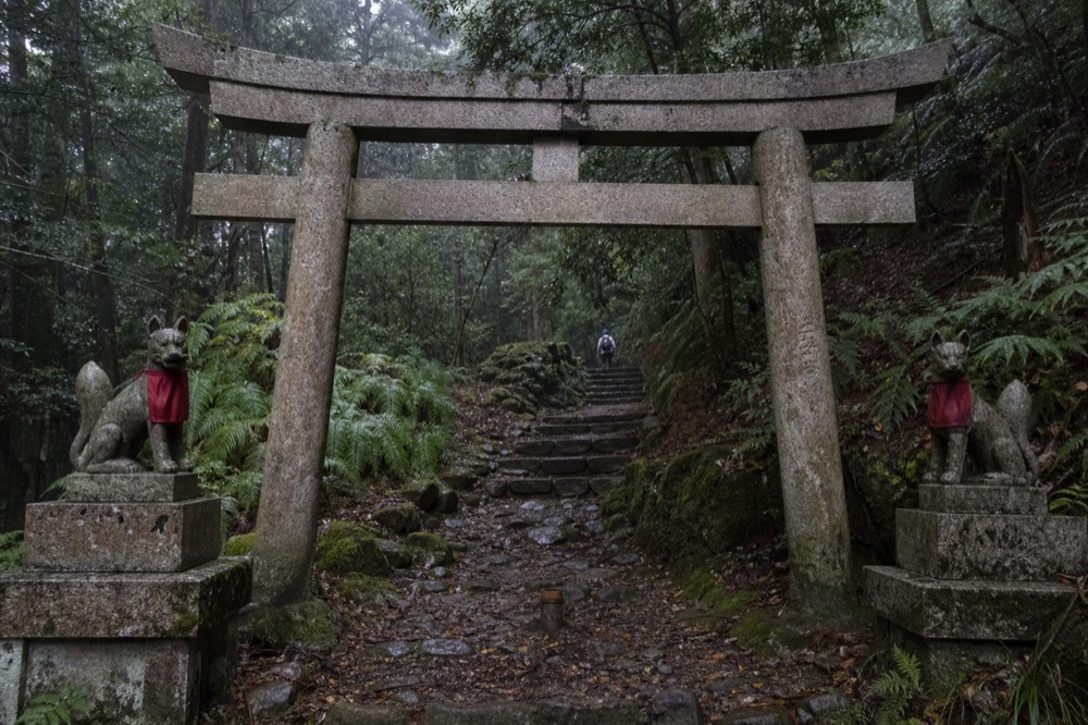 A single weathered torii gate and stone fox statues beside a mossy forest path on the upper mountain