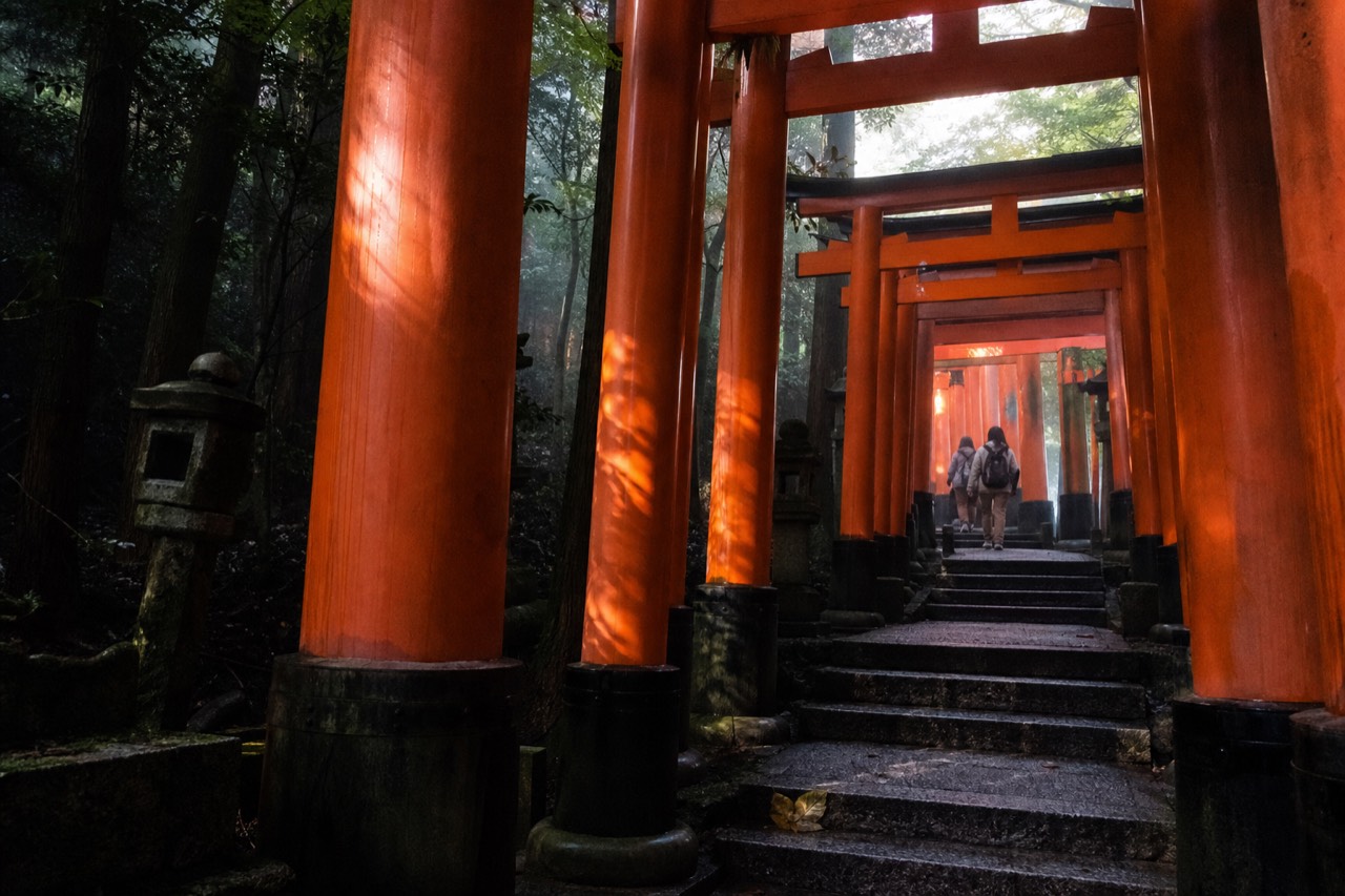 Rows of vermilion torii gates climbing a forested stone path on Mount Inari