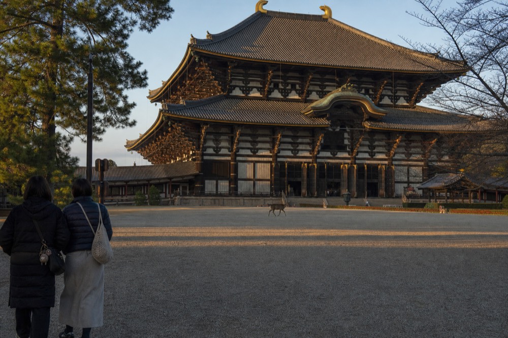 A large wooden temple hall seen across an open gravel forecourt in late-day light