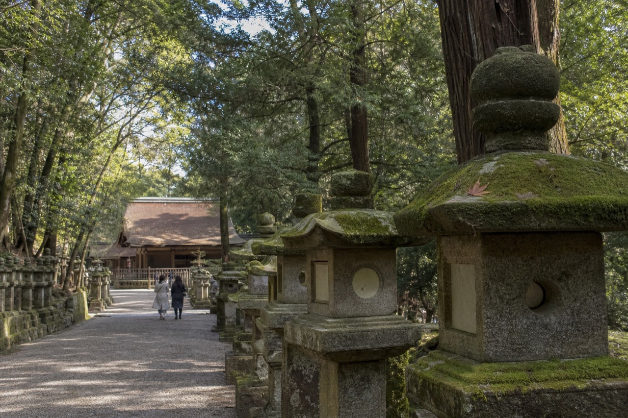 Stone lanterns lining a wooded path toward a wooden shrine building