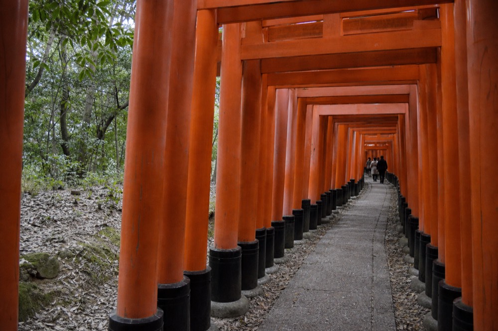 Rows of vermilion wooden gates closely spaced along a stone path through forest