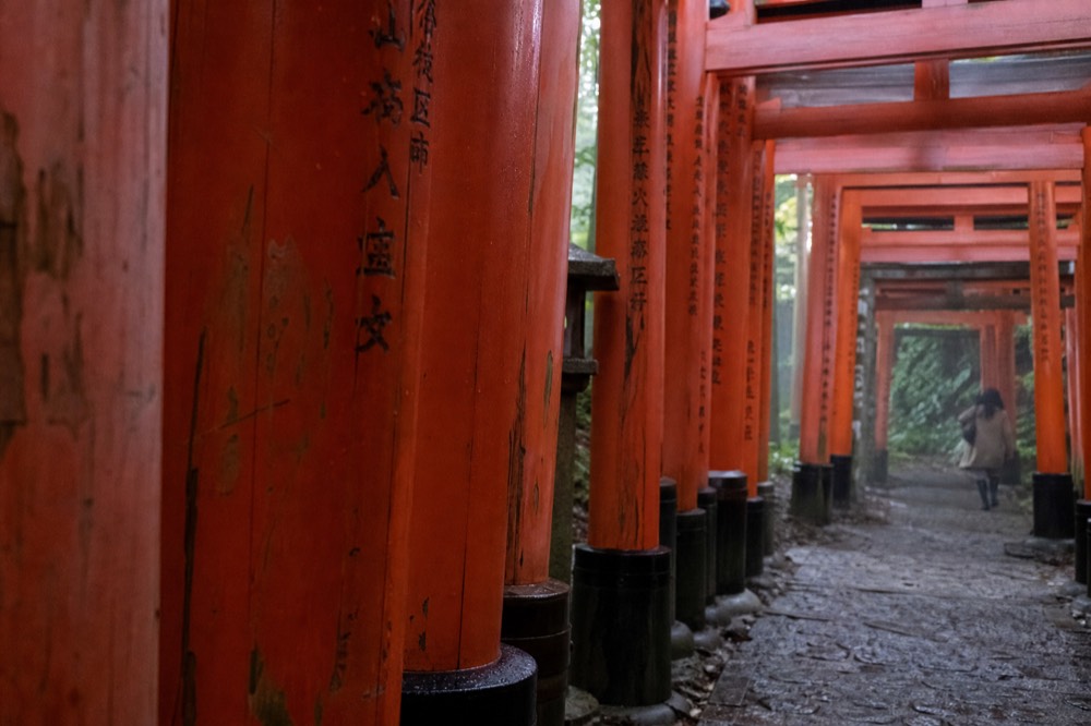 Inscriptions in black characters on the inner faces of wooden torii pillars