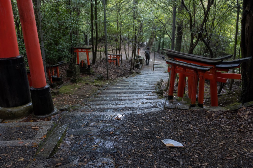 A quiet upper section of the mountain trail with scattered small torii gates in soft light