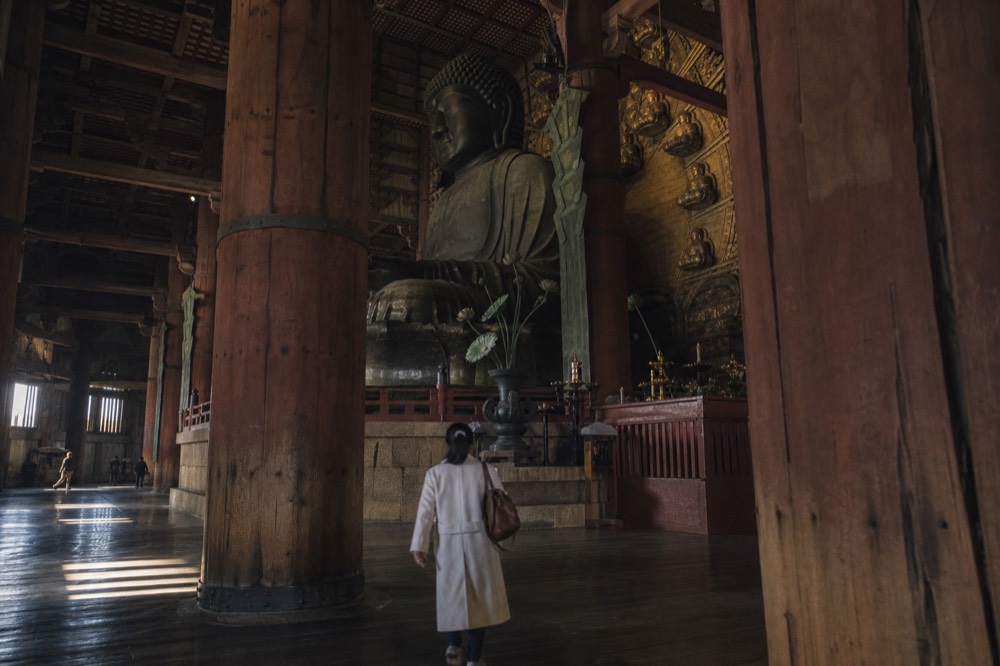 Wooden pillars and lattice windows of a large temple hall housing a seated bronze Buddha statue