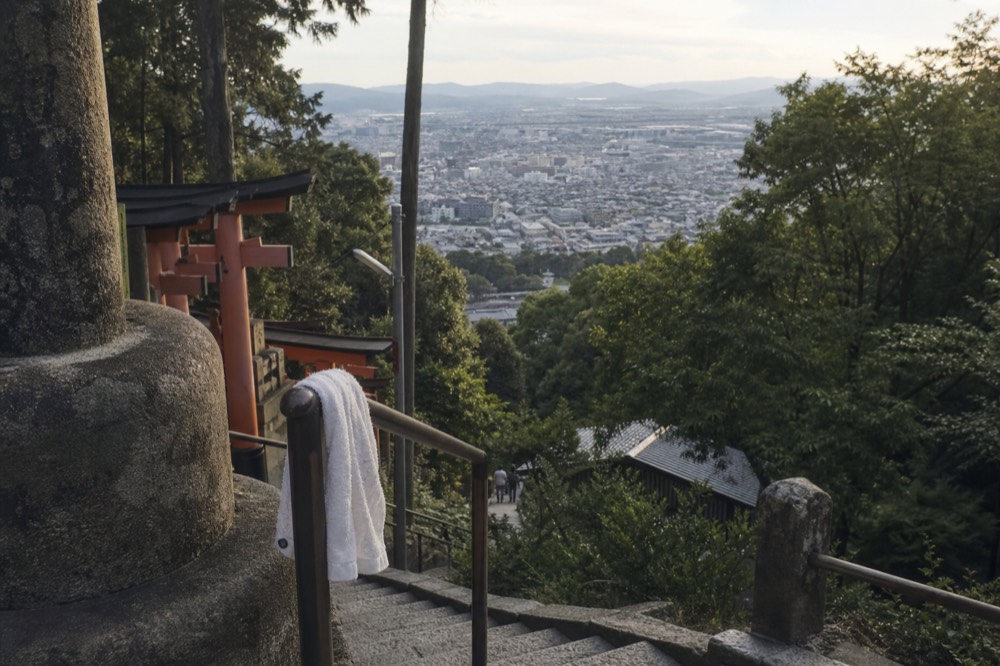 A view from the mountainside path looking down over Kyoto city through a gap in the trees