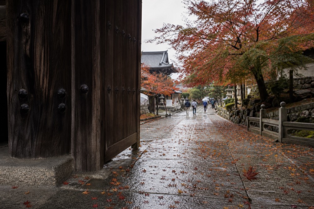 Autumn maple leaves along a stone path beside a wooden temple gate
