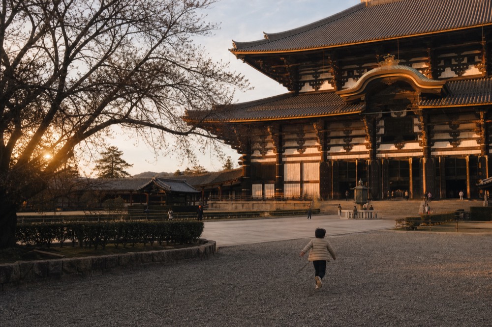The Great Buddha Hall of Todai-ji photographed from the free courtyard in front of it