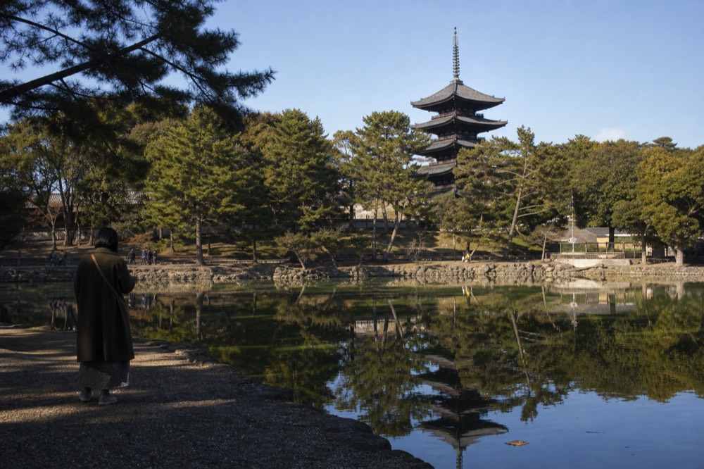 A tall five-storied pagoda behind trees beside a calm pond