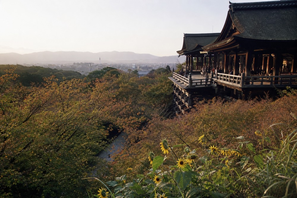 The wooden stage of Kiyomizu-dera viewed from the tree-covered hillside below the temple