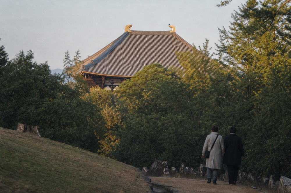 A great tiled temple roof rising above trees in Nara Park