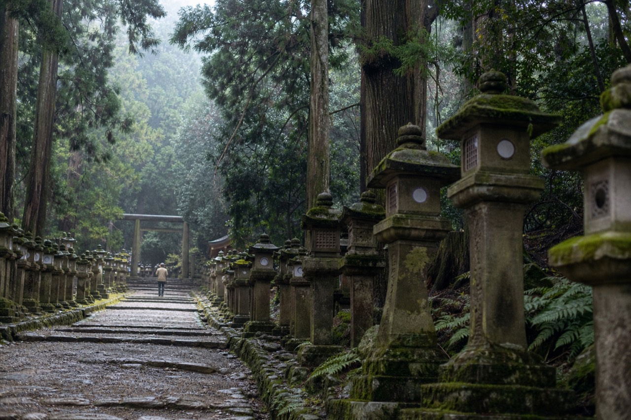 Stone lanterns lining a wooded path toward a shrine gate in Nara