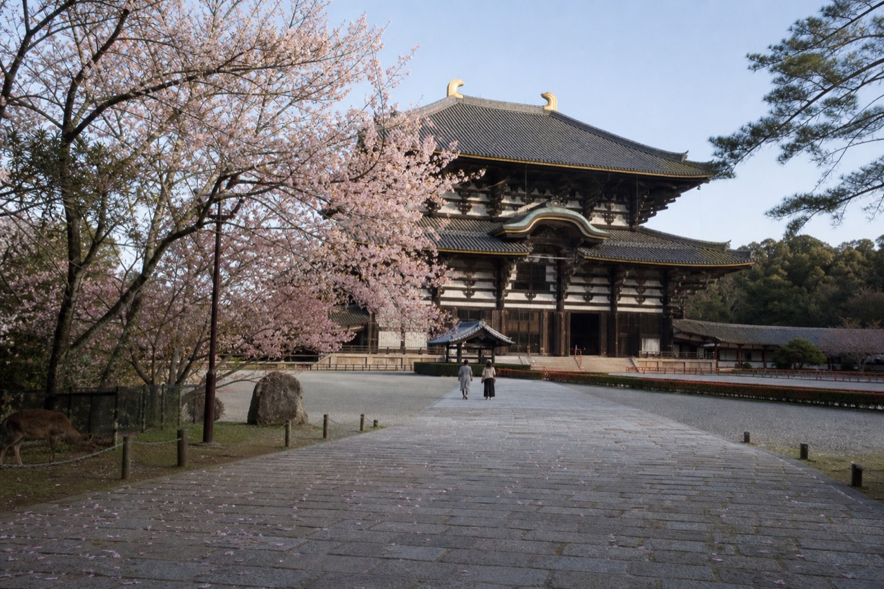 Great Buddha Hall of Todaiji seen from across a stone path in Nara Park