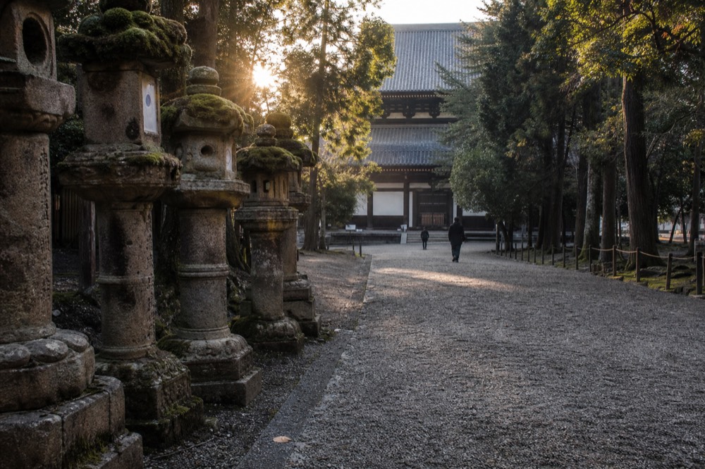 Stone lanterns and path leading to the Great Buddha Hall entrance