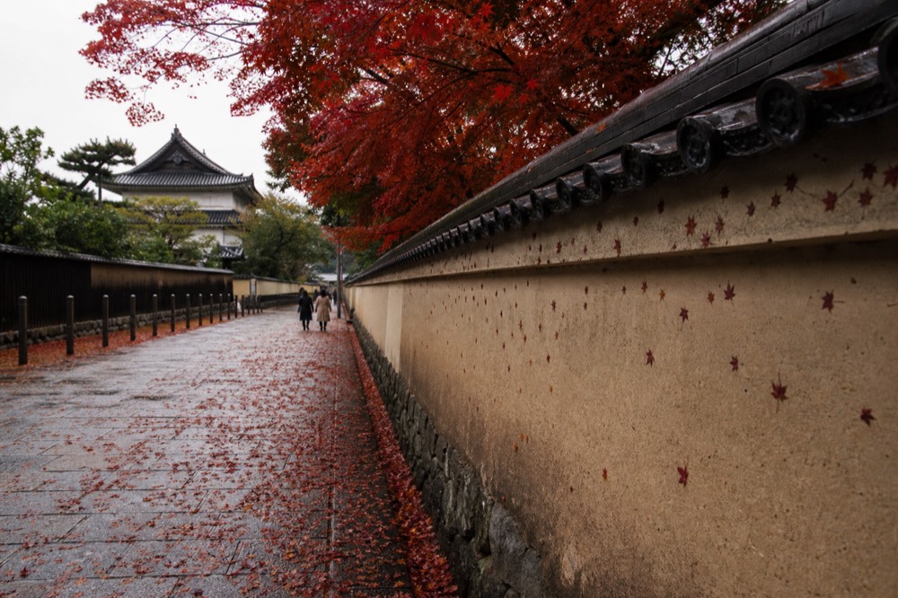 Red maple leaves along a stone path beside a temple wall in late autumn