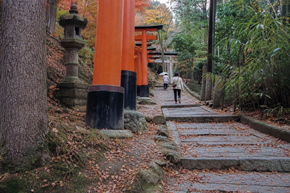 Rows of mossy stone lanterns along a forest shrine approach