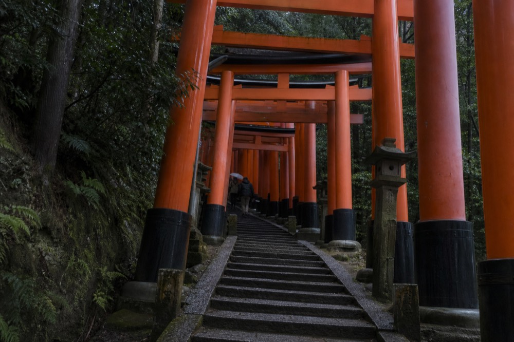 Dense rows of vermilion torii gates receding up a stone stairway through forest