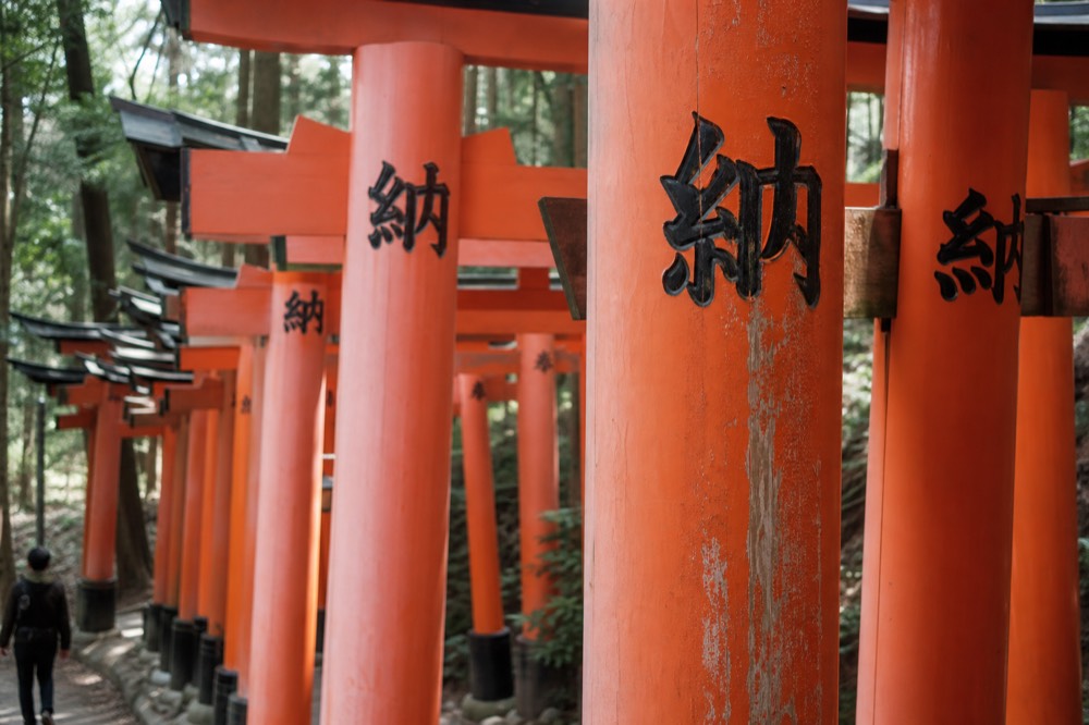 Back view of torii gates showing black inscription characters on the pillars