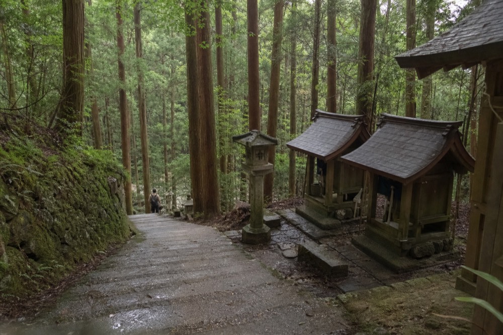 Stone stairway winding uphill through tall trees with small sub-shrines at the side