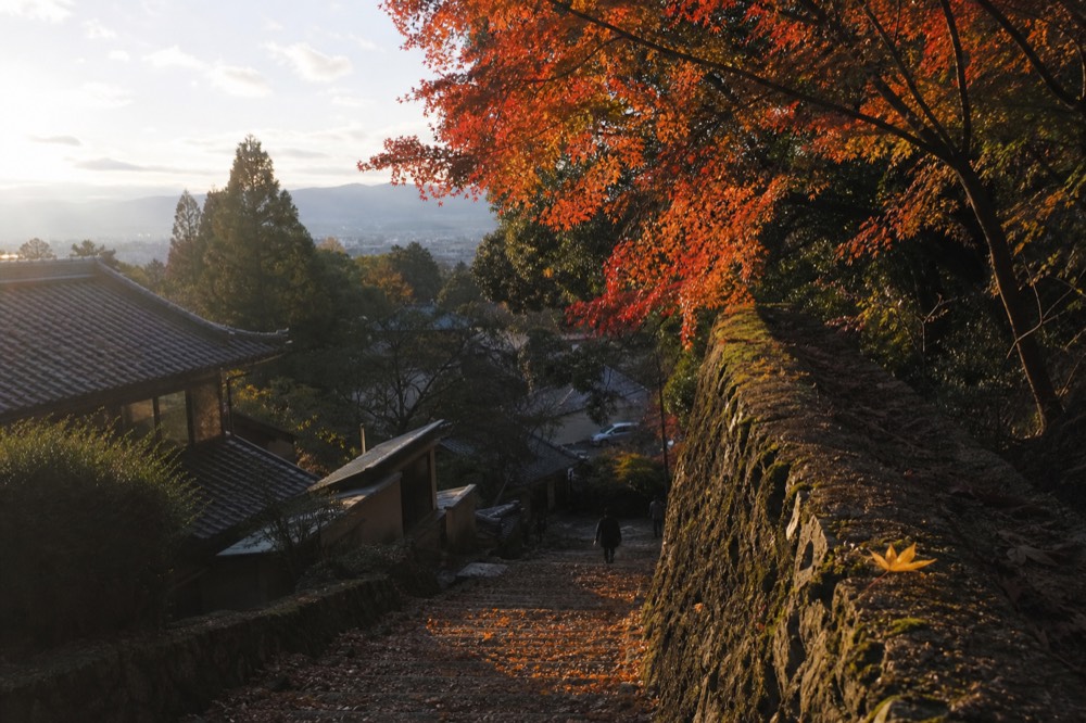 Maple trees with red and orange leaves over a stone stairway