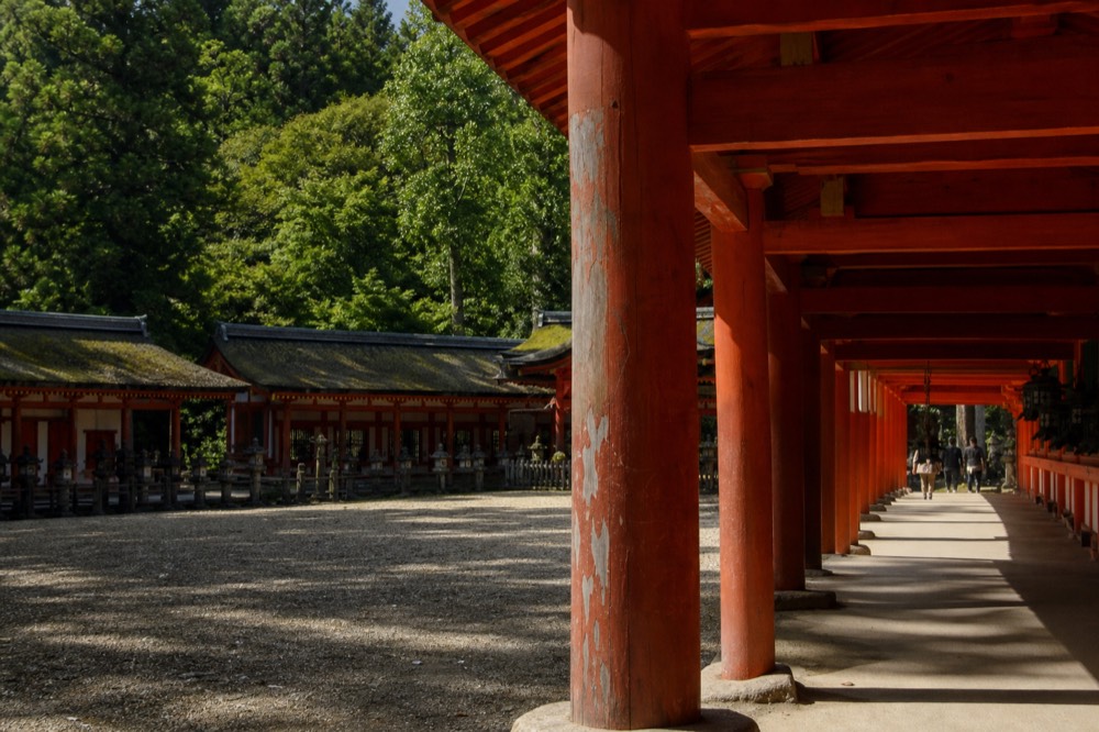 Vermilion shrine buildings framed by dense green forest at Kasuga Taisha
