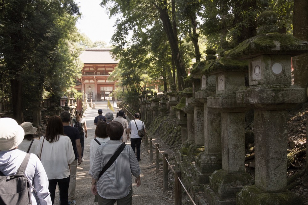 Tour group walking past stone lanterns at Kasuga Taisha with a guide