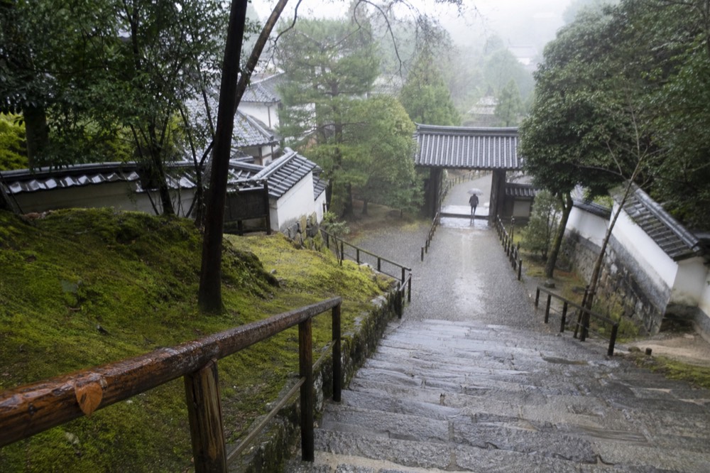 A quiet stone path bordered by moss and low wooden fences leading toward a temple gate