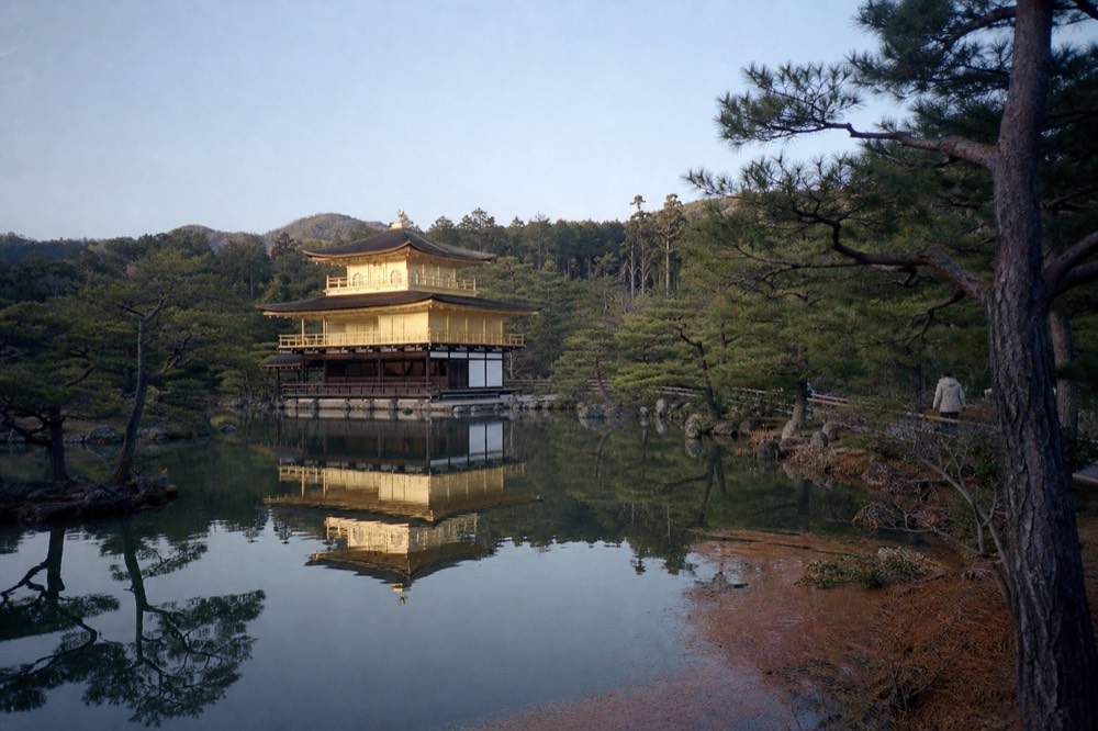 A golden pavilion reflected in a still pond surrounded by pine trees