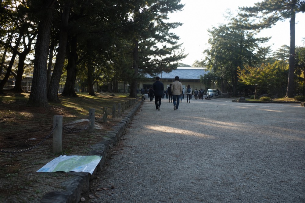 A wide park path with a museum building on the left and trees on both sides