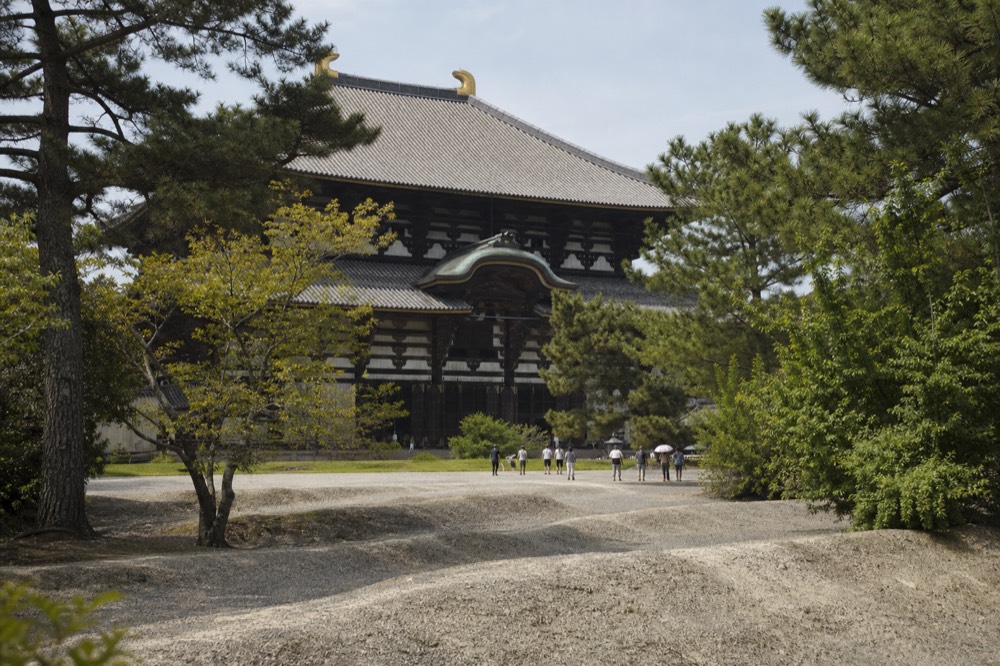 Large wooden temple hall with a tiled roof seen through trees