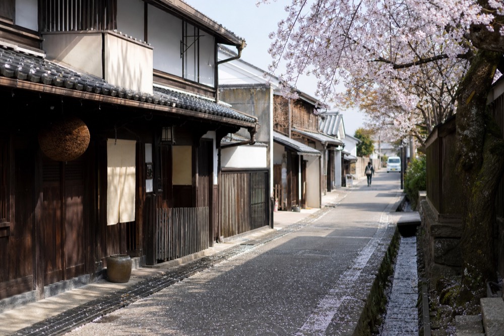 Traditional street with cherry blossom branches above wooden shopfronts