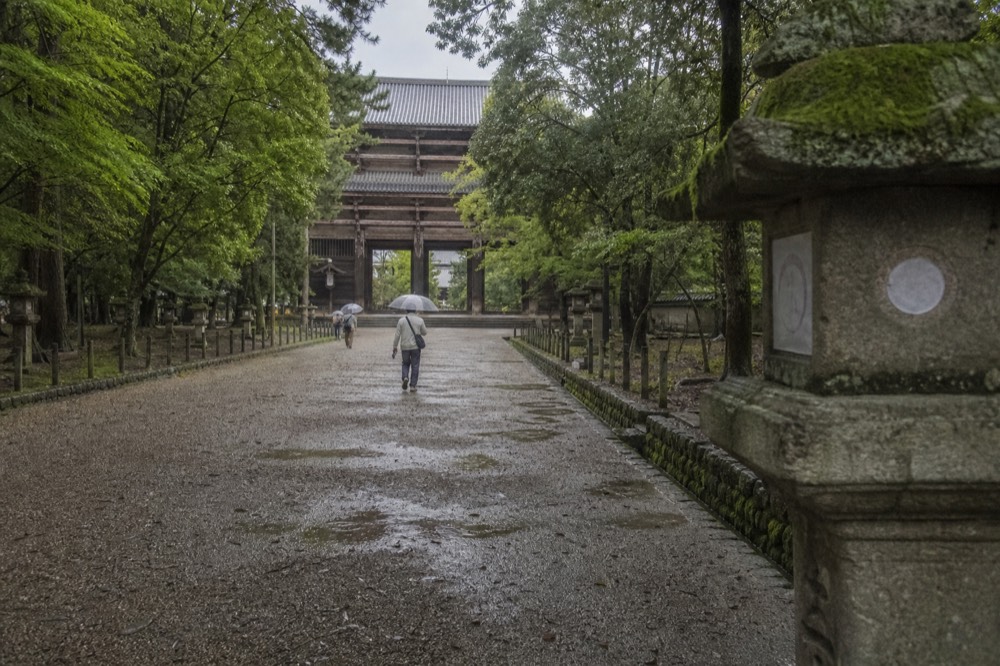 A tree-lined gravel path leading toward the temple gate with lanterns at its edge
