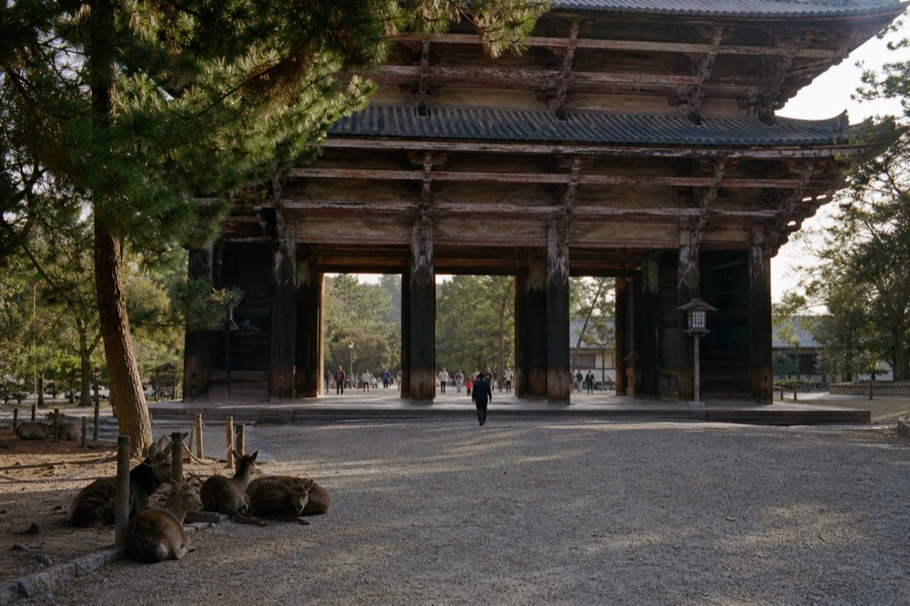 The great wooden gate on the approach to Todai-ji, with deer resting in its shade