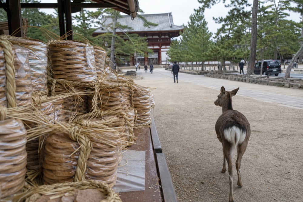 Stacks of round deer crackers on a vendor stall in a park