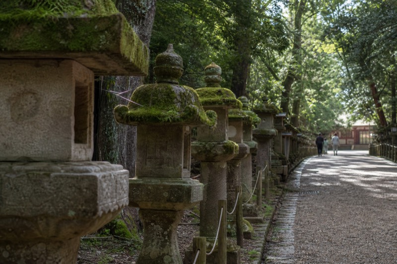 Kasuga Taisha