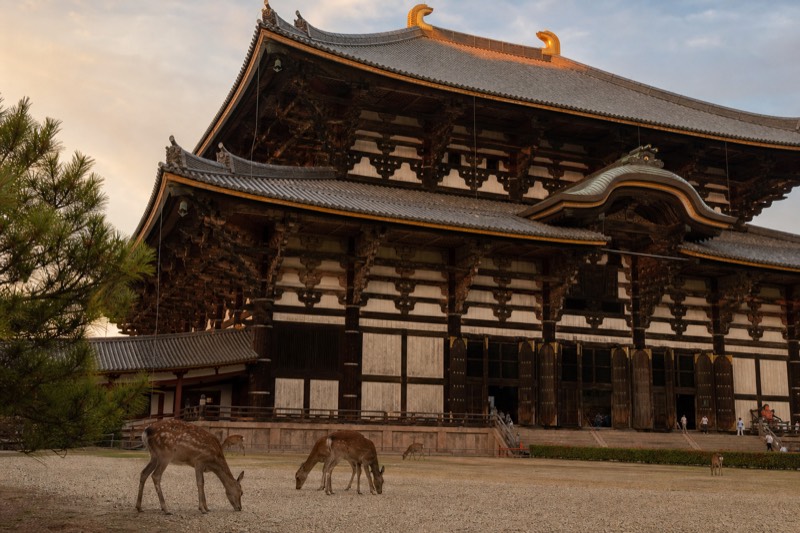 Todai-ji