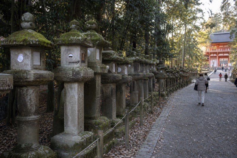 Rows of moss-covered stone lanterns lining the approach to Kasuga Taisha